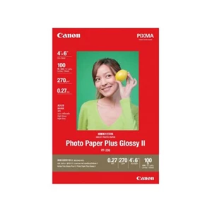Canon Photo Paper Plus Glossy Pp208 4X6 (100)
