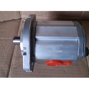 Hydraulic Marzocchi Gear Pump Alp2a-D-25-C2-Fg