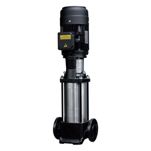 Vertical Multistage Centifugal Water Pump