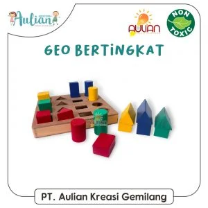 Geo Educational Toys Level 20