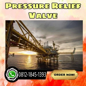 Pressure Relief Valve Ex Precon