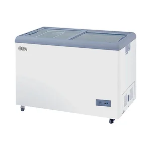 Sliding Flat Glass Freezer GEA SD-256