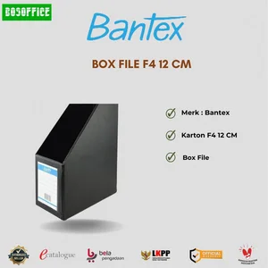 Ordner Box File Bantex F4 10 CM