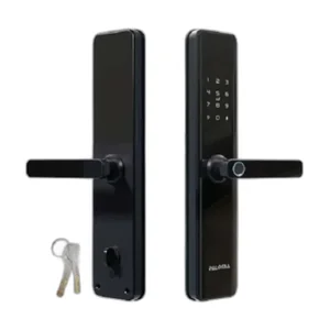 Handle Pintu PALOMA DLP 3121 DIGITAL LOCK SMART HOME WiFi - DLP3121+Sbag