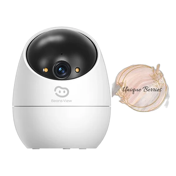 Smart Pan-Tilt WiFi CCTV BV D210 2MP with Bracket