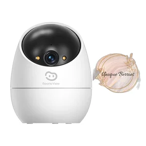 Smart Pan-Tilt WiFi CCTV BV D210 3MP with Bracket