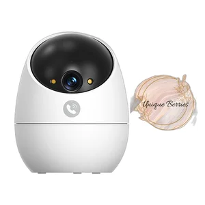 Smart Pan-Tilt WiFi CCTV BV D210 5MP with Bracket