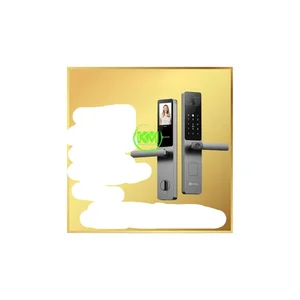 Smart Entry EZVIZ (Akses Pintu) DL20 Plus