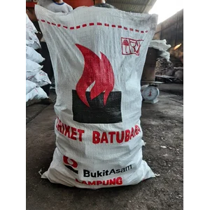 Arang Briket Batubara Lampung Non-Karbonisasi 9 Karung