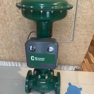 Control Valve C1 / Pneumatic Valve Actuator