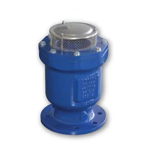 Air Valve Raphael Single Chamber (Dn 150 - Dn 300)
