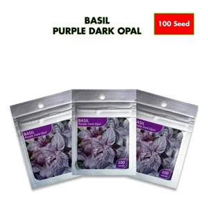 Bibit Basil Merah Purple Dark Opal