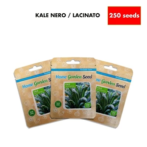 Bibit Benih Kale Nero Home Garden Seed 250 Seeds