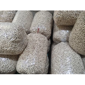 High Grades Cashew Nuts Surabaya