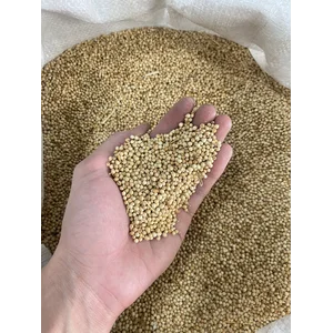 Ketumbar Utuh Pilihan Pembelian lebih dari 1 kg 