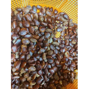 Biji Asam Jawa 50kg per karung