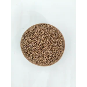 Ketumbar Biji Pilihan Premium untuk Bumbu Masakan Nusantara