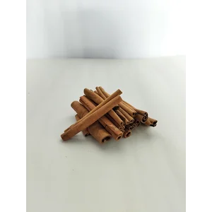 Kayu Manis Cutting 8cm Berkualitas