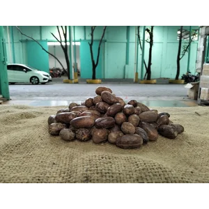 Rempah Biji Pala Kulit 25kg per Karung Premium