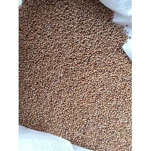 Rempah Ketumbar Ori 25kg per Karung