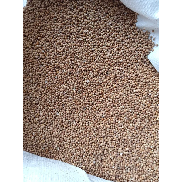 Rempah Ketumbar Ori 25kg per Karung