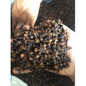 Rempah Cengkeh Sulawesi 25kg Per Karung