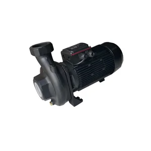 Pompa Sentrifugal Grundfos Ns Basic 30-18 T - 3 Phase (Ns 30-18 T)