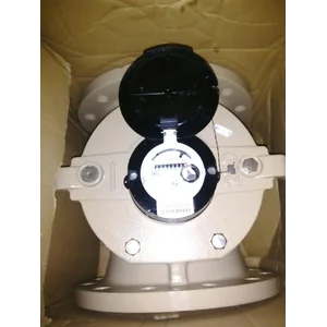Actaris Water Meters Woltex
