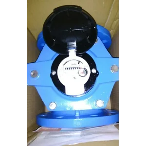 Itron Water meter Woltex 6 "