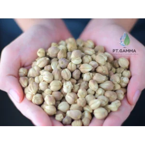 Biji Kapulaga Putih / White Cardamom (Indonesia)