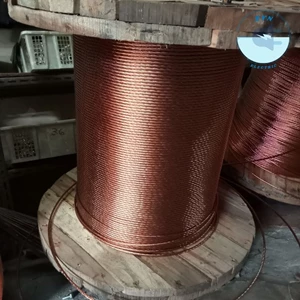 Kabel Tembaga Tanpa Kulit Bare Copper (Bc) Ukuran 16 Mm2