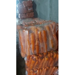 Fresh Carrot Berastagi Kabupaten Karo