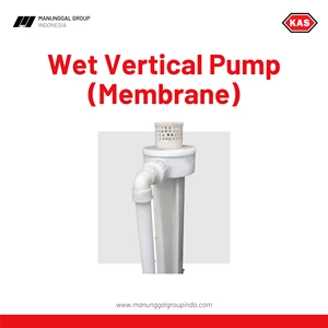 Vertical Oil Pump Wet Membrane