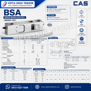 Load cell Timbangan BSA Merk CAS 100 Kg - 5 Ton / Service + Tera Timbangan 