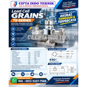 Load cell Jembatan Timbang TS Grains 30 Ton / Service + Tera 