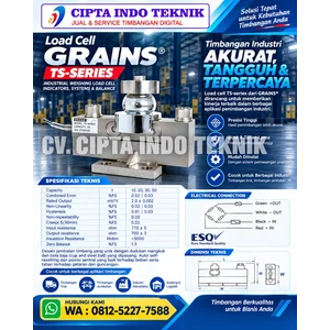 LOAD CELL JEMBATAN TIMBANG 30 Ton TS GRAINS 