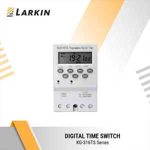 Digital Relay Timer Larkin KG316Ts 220V