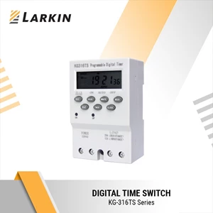 Digital Relay Timer Larkin KG316Ts 220V
