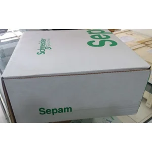 SEPAM 1000 S42 SP59604S42806 S 42 Schneider Original Garansi 6 bulan