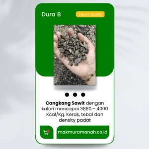 Cangkang Sawit Dura B - Makmur Amanah Sejahtera
