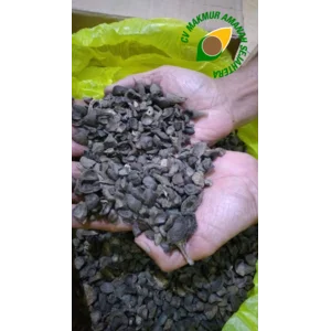 Cangkang Sawit / Palm Kernell Shell