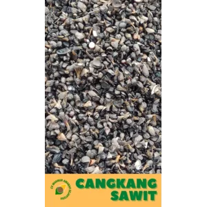 Cangkang Sawit / Palm Kernell Shell 20 Ton