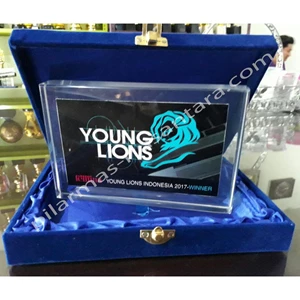 Plakat acrylic young lions