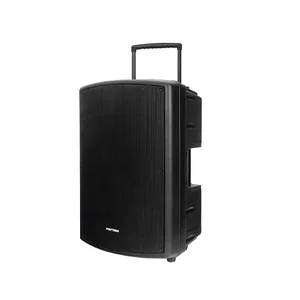 Polytron Speaker PAS PRO 12F3