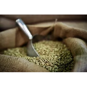 Biji Kopi Arabica Gayo Grade 1 (Coffee Beans)
