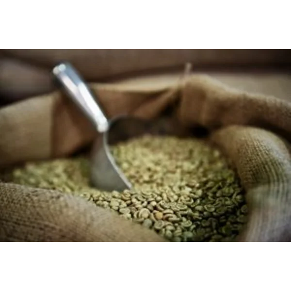 Biji Kopi Arabica Gayo Grade 1 (Coffee Beans)