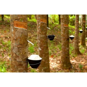 Rubber Compound Karet Kemasan Pack