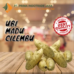 Ubi Cilembu Manis 1 Kg