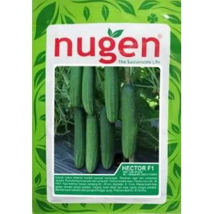 Benih / Bibit Sayuran Timun Nugen Hector F1 20 Gram