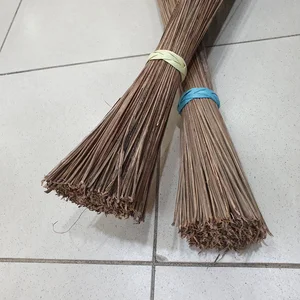 SAPU LIDI TAMAN TANPA GAGANG 